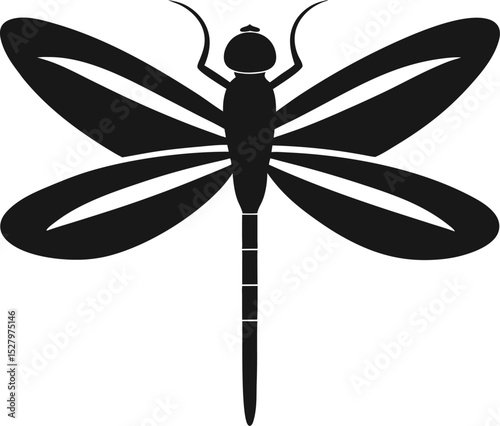 dragonfly vector illustration