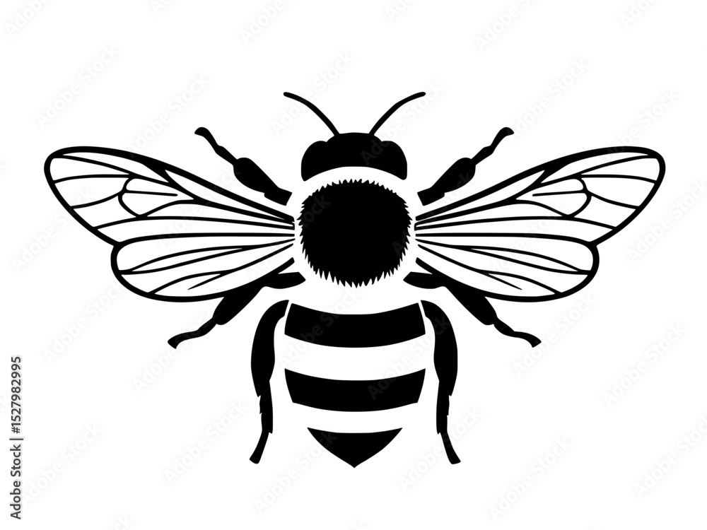 Fototapeta premium vector illustration of a bee