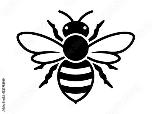 bee vector illustration