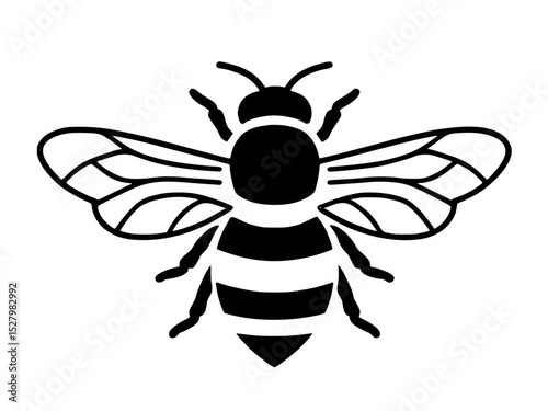 bee vector illustration