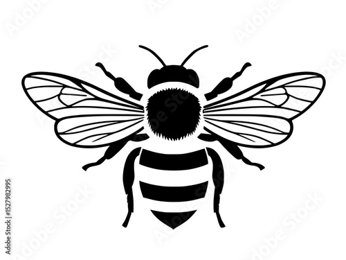 vector illustration of a bee