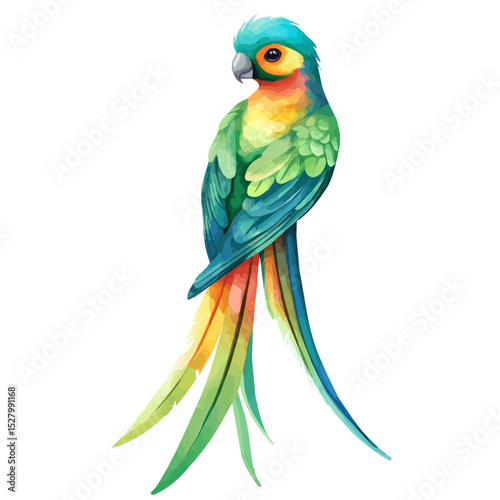 Quetzal, watercolor painting vector, high quality, isolated on a white background.