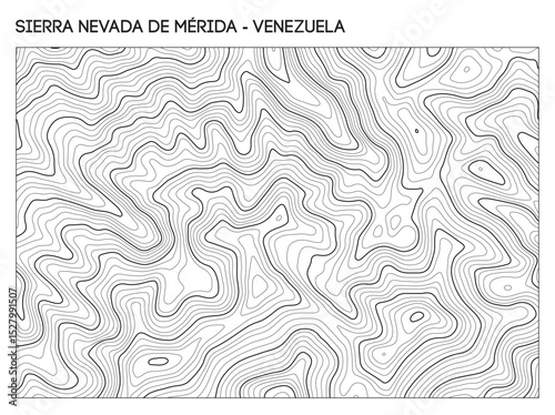 Topographic contour map of Sierra Nevada de Merida mountain range in Venezuela showing rugged elevation and ridgelines. Contour lines vector terrain background.
