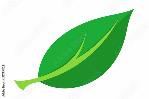 Simple green leaf illustration design