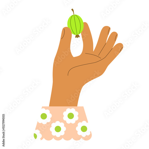 Female hand with floral print cuff holds ripe fresh gooseberry. Cute vector illustration for fruit jam label design, pie recipe, gardening and vegetable gardening, farm shop.