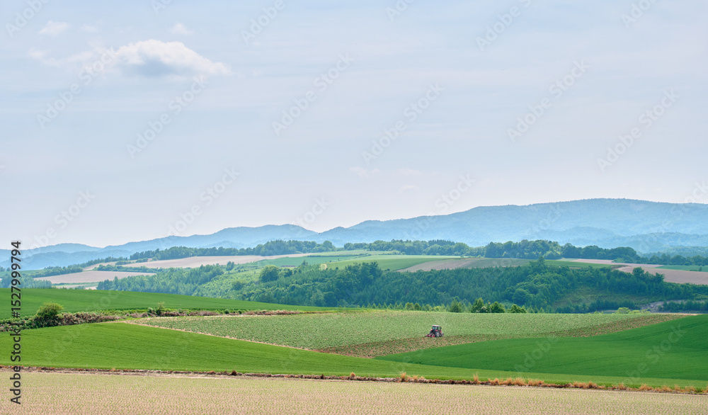 Naklejka premium 美瑛町ルベシベの丘、初夏の畑とトラクター / Early Summer Fields and Tractor from Rubeshibe Hill in Biei Town