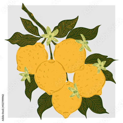 Mediterranean element, exotic tropical. Textured illustration with hand drawn sketch elements