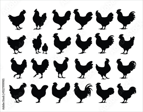 Chicken Clipart EPS