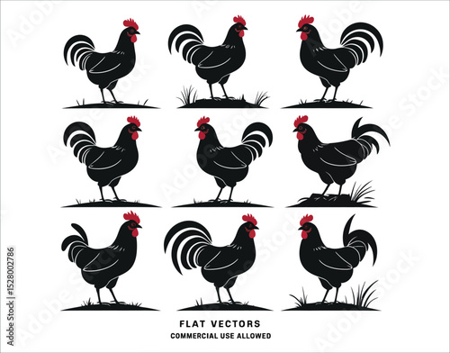 Chicken Shapes Vector