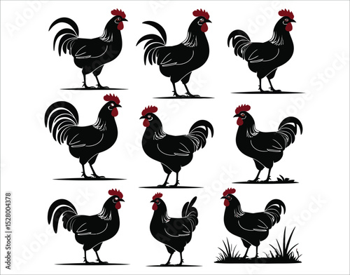 Farm Chicken Icons
