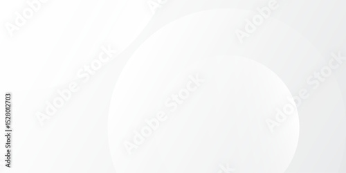 Abstract lines grey background with dynamic circle simple modern