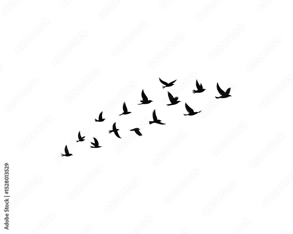 Obraz premium Silhouette of Birds Flying in Formation Against a White Background Symbolizing Freedom Migration and the Beauty of Nature in Flight