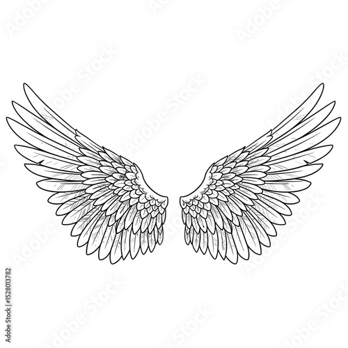 vector illustrator of simple angel wings is isolated on white background  