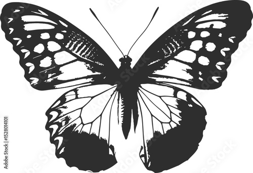 Black and white butterfly illustration: A detailed illustration of a butterfly with black and white color scheme, showcasing intricate wing patterns and delicate details.