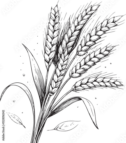 Golden Wheat Bouquet: Detailed, photorealistic drawing of a golden wheat bouquet, embodying the essence of harvest and rustic simplicity. Perfect for illustrating agriculture, nature.