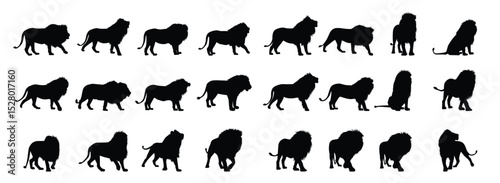 lion vector silhouettes