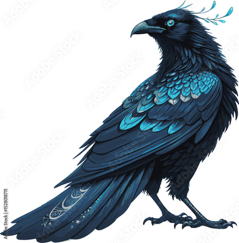big crow isolated on white background