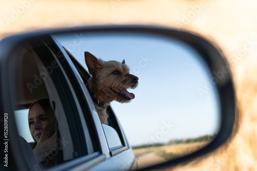 Reflection of a car mirror of a dog sticking his head out of the car window