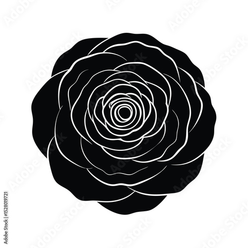 a-ranunculus-flower-icon-with-densely-packed--deli