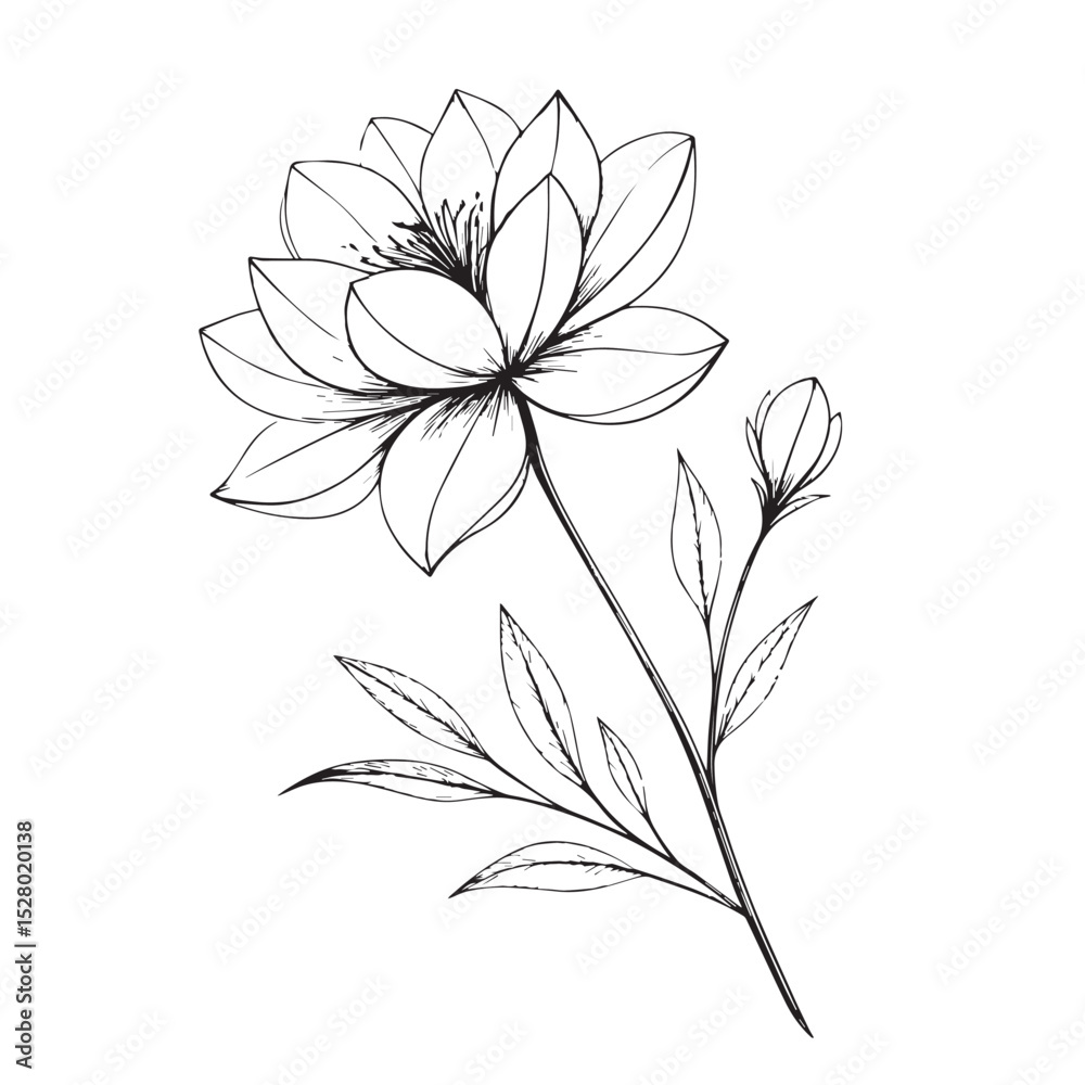 Obraz premium black and white flower vector