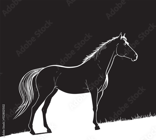 horse silhouette vector, horse black white photos, horse racing