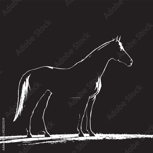 horse silhouette vector, horse black white photos, horse racing