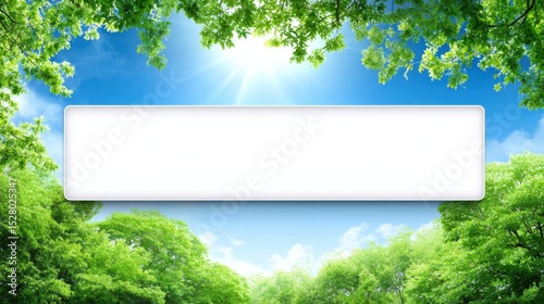 Vibrant green forest scene with sunlight shining through trees
