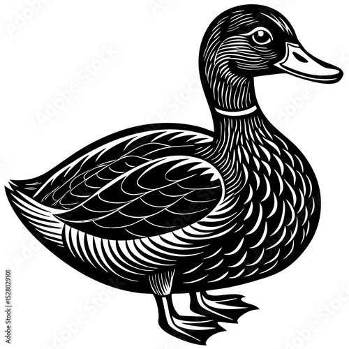 duck vector illustration