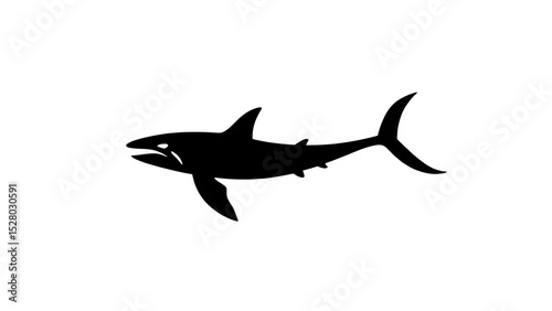 vector silhouette of a shark
