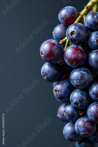 Wallpaper Mural fresh black grapes closeup on the right side of the frame with ample copy space on the left side. Torontodigital.ca