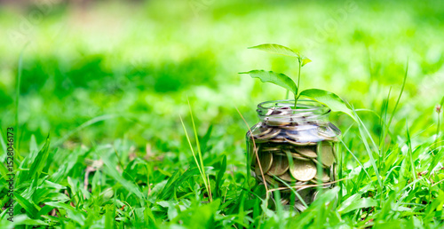 A coin jar sits on the grassy lawn.
