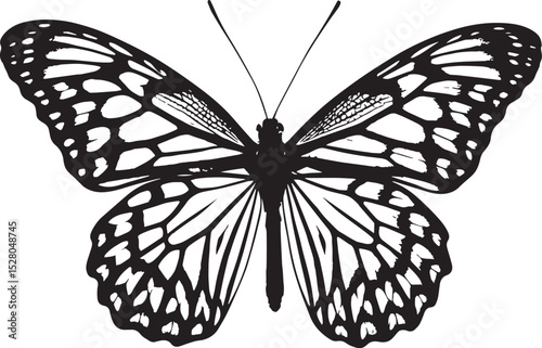 black butterfly vector illustration