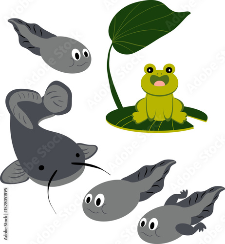 a pond creature