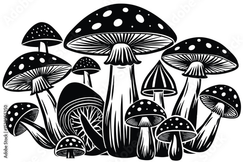 Enchanted Forest A Monochrome Illustration of Diverse Mushrooms