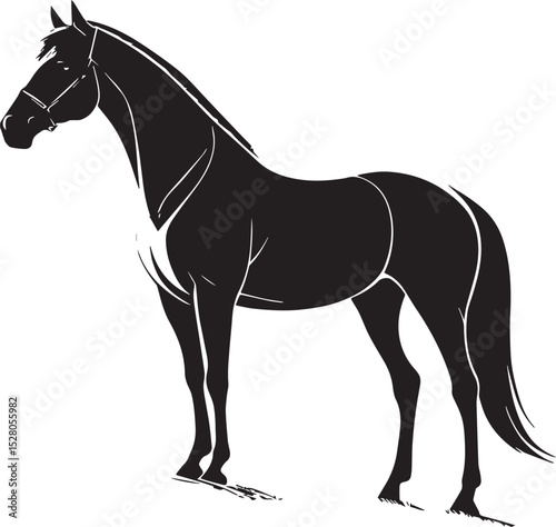 horse vector illustration, amazing horse black white photos