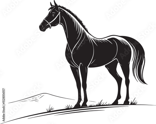 horse vector illustration, amazing horse black white photos