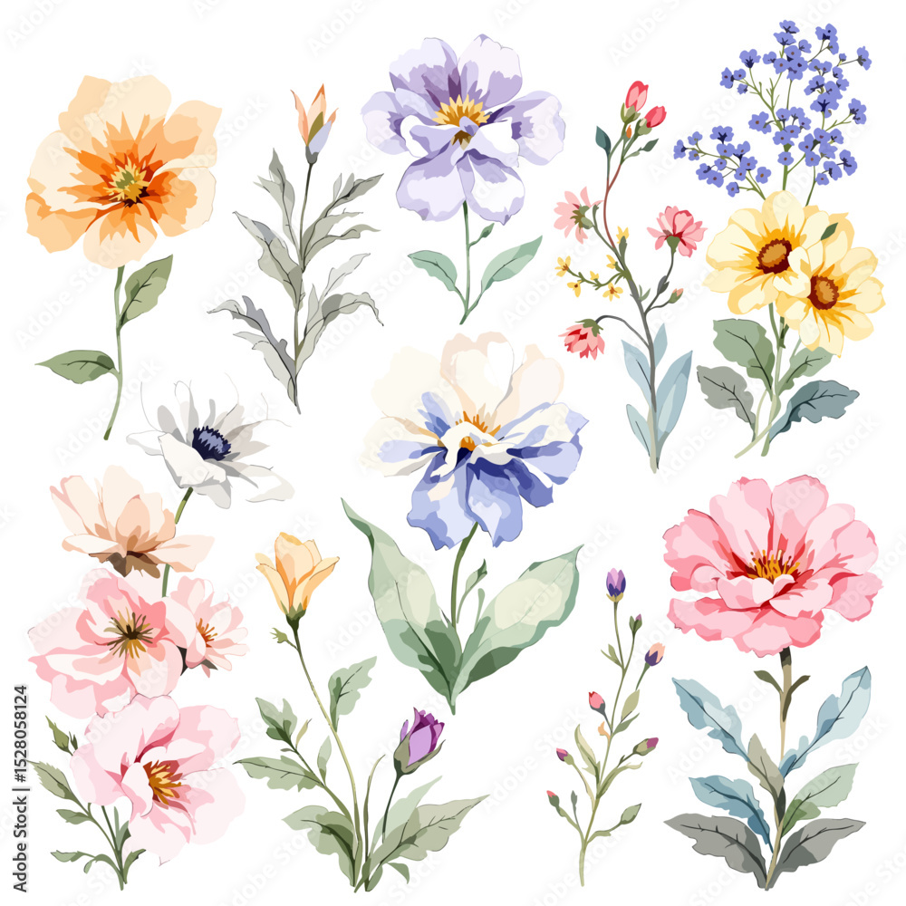 Obraz premium Wild flowers set, watercolor digital illustration.