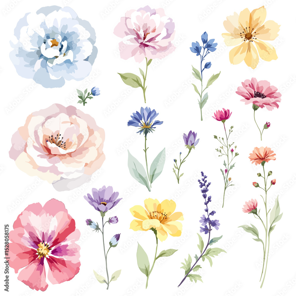 Fototapeta premium Wild flowers set, watercolor digital illustration.