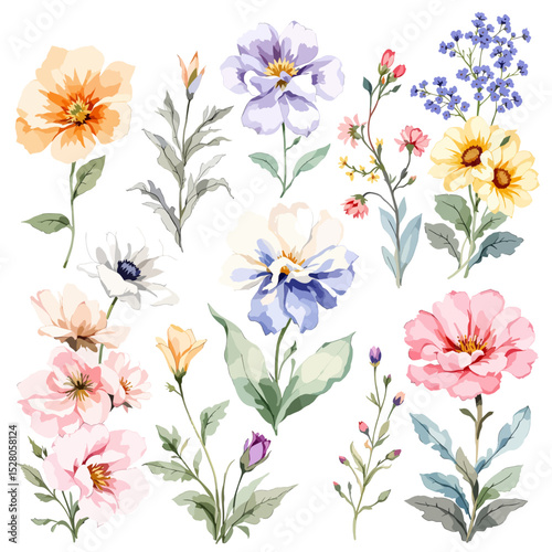 Wild flowers set, watercolor digital illustration.