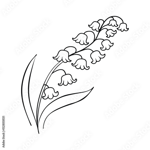Delicate black and white illustration of a blooming lily of the valley flower with leaves