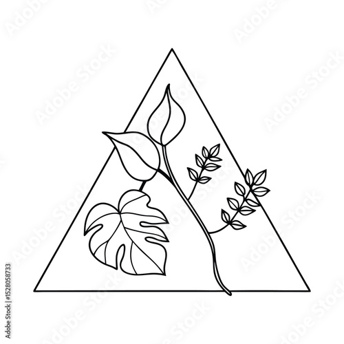 Elegant botanical illustration featuring simple leaves and stems arranged inside a triangle frame