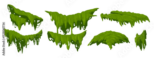 Green moss plants. Jungle creeping moss, hanging lichen and moss flat vector illustration set. Cartoon rainy forest flora