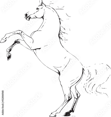 horse vector illustration, horse black white photos