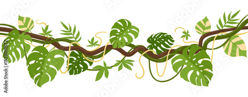 Tropical climbing liana. Jungle liana branches plants with moss, rainforest liana vines flat vector illustration. Cartoon green vegetation