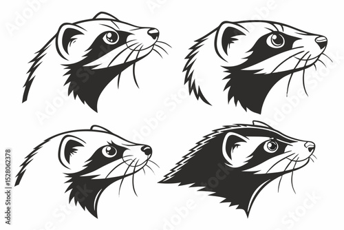 black and white animals