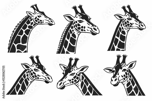 giraffe vector illustration