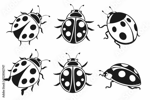 set of ladybug