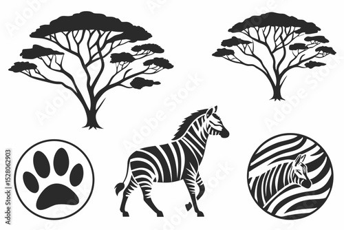 zebra