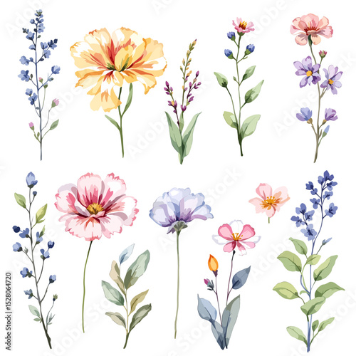 Flowers and leaves digital illustration, spring design, watercolor hand painting. Perfectly for printing, sublimation.