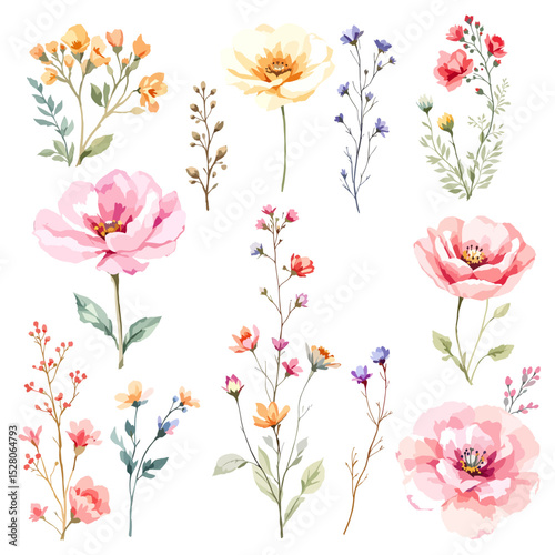 Big floral illustrations set with watercolor hand drawn flowers. Stock clip art.